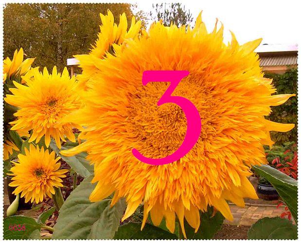 767.DAX Tipp-Spiel, Freitag, 18.04.08 160013