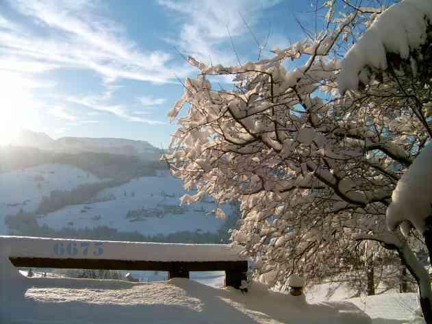 441.DAX Tipp-Spiel, Mittwoch, 03.01.07 74820