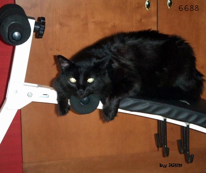 760.DAX Tipp-Spiel, Mittwoch, 09.04.08 158488