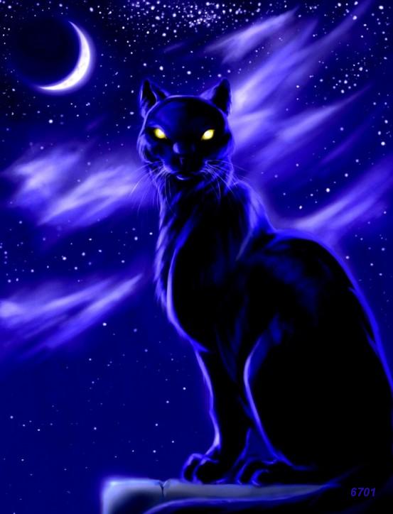 489.DAX Tipp-Spiel, Montag, 12.03.07 87046