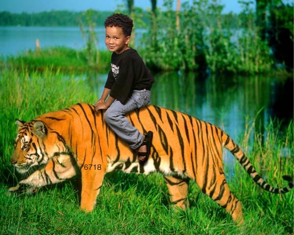 441.DAX Tipp-Spiel, Mittwoch, 03.01.07 74868