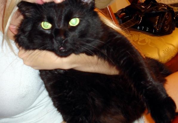 766.DAX Tipp-Spiel, Donnerstag, 17.04.08 159830