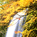 Open Energy - Solar made in Kalifornien 121045