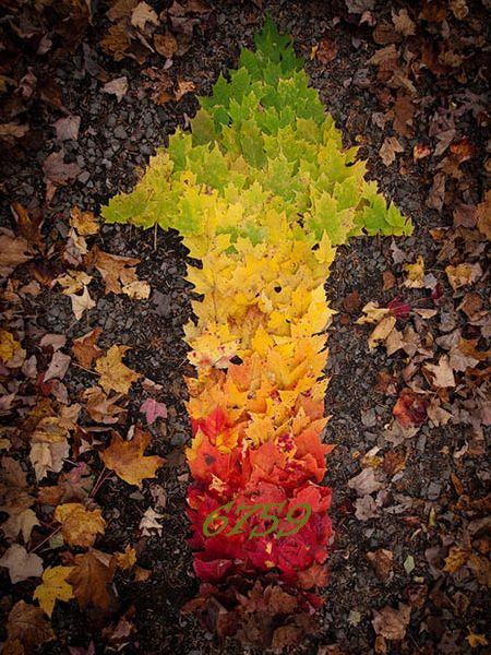 1.416.DAX Tipp-Spiel, Donnerstag, 04.11.10 355702