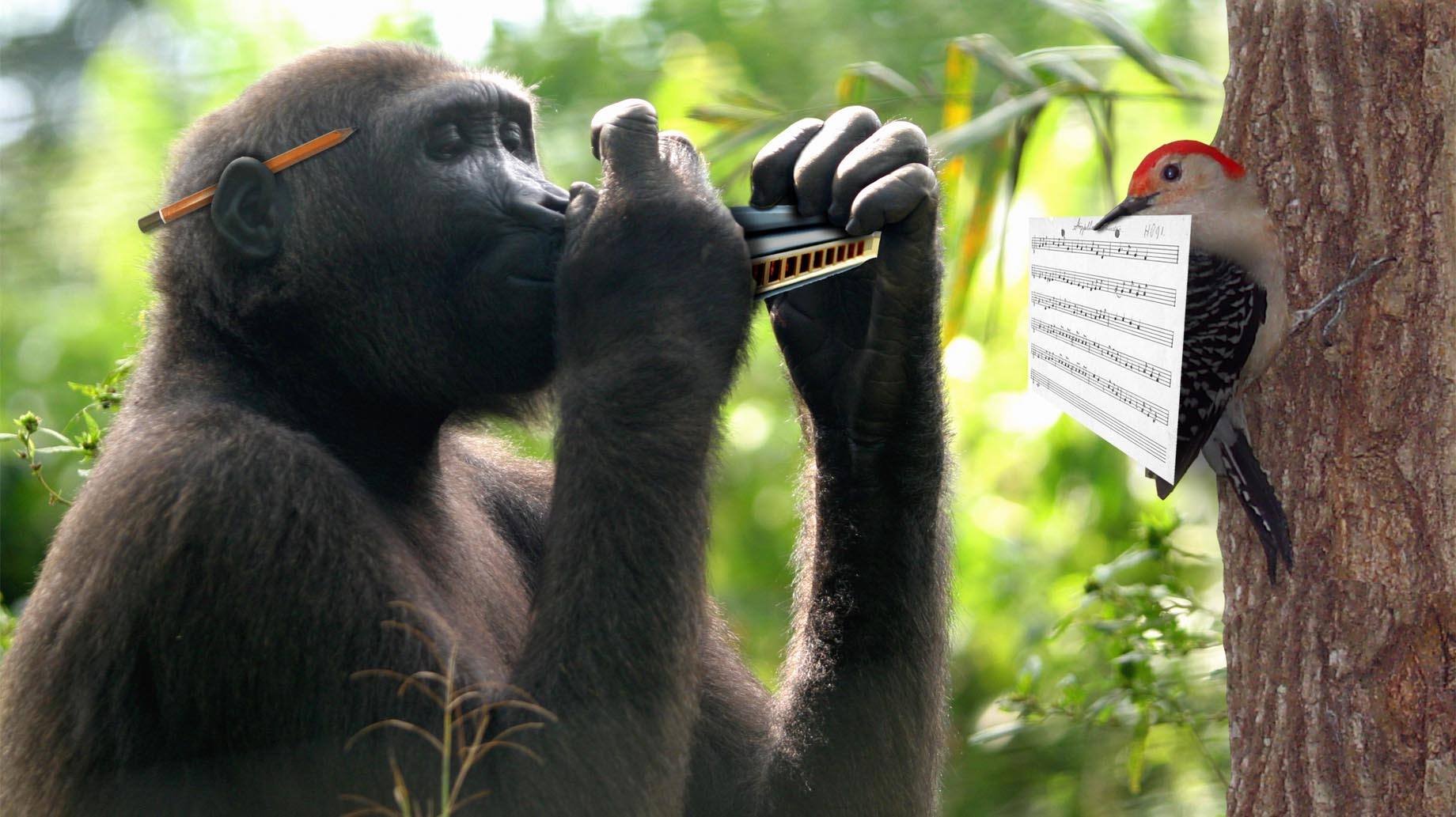 511.DAX Tipp-Spiel, Freitag, 13.04.07 92730