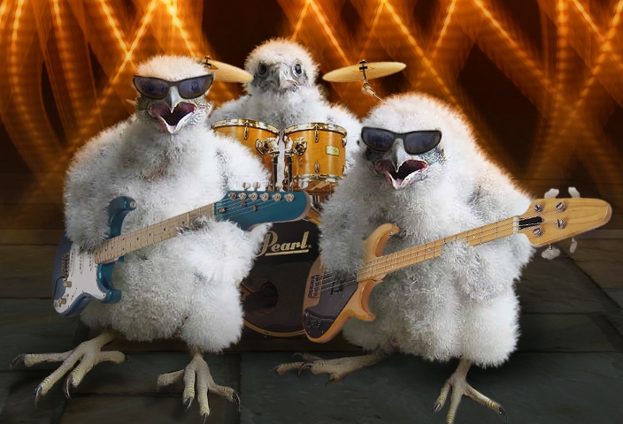 512.DAX Tipp-Spiel, Montag, 16.04.07 92762