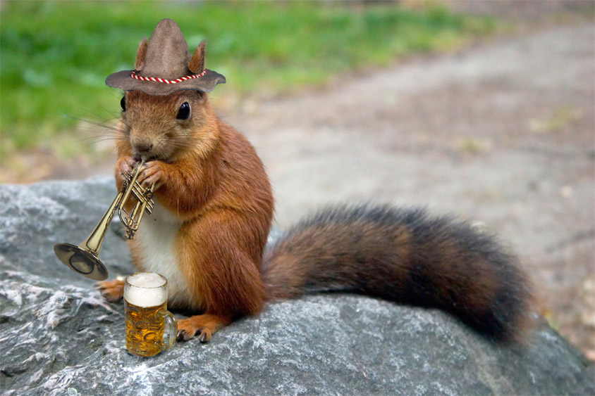 641.DAX Tipp-Spiel, Dienstag, 16.10.07 125849