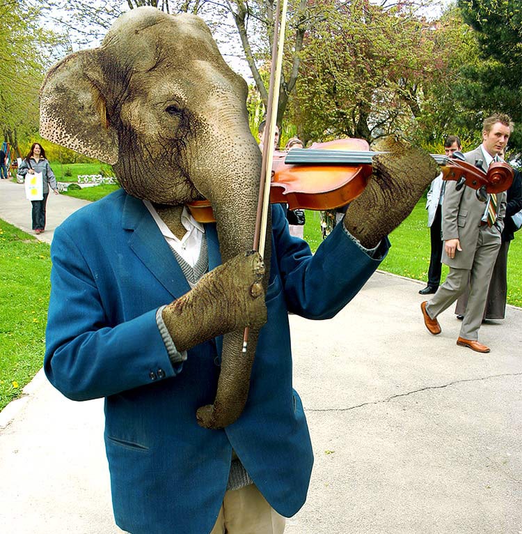 513.DAX Tipp-Spiel, Dienstag, 17.04.07 92978