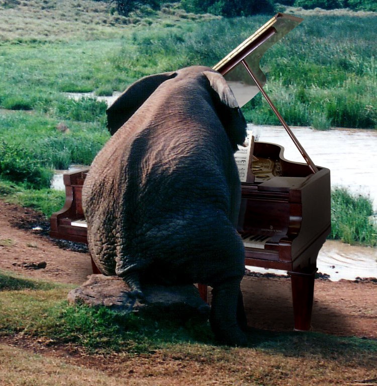 643.DAX Tipp-Spiel, Donnerstag, 18.10.07 126344