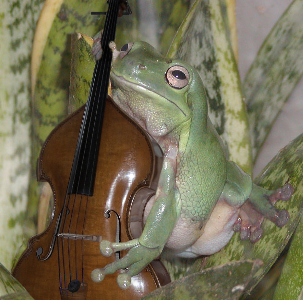 513.DAX Tipp-Spiel, Dienstag, 17.04.07 93109