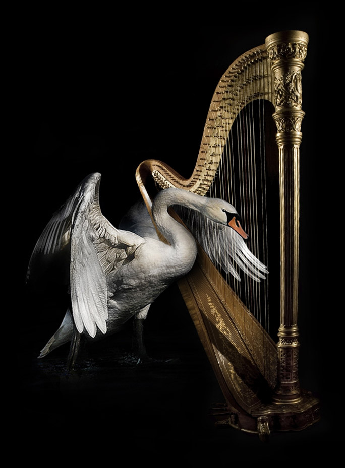 645.DAX Tipp-Spiel, Montag, 22.10.07 127045