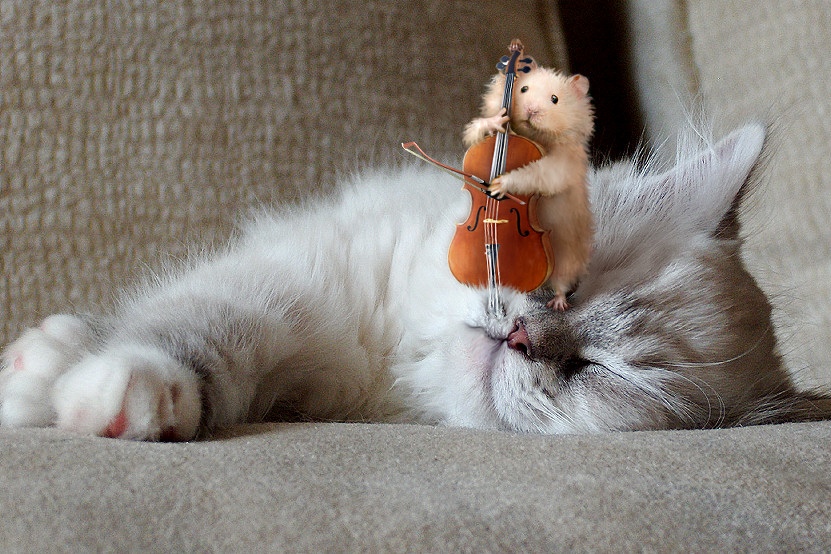 649.DAX Tipp-Spiel, Freitag, 26.10.07 128248