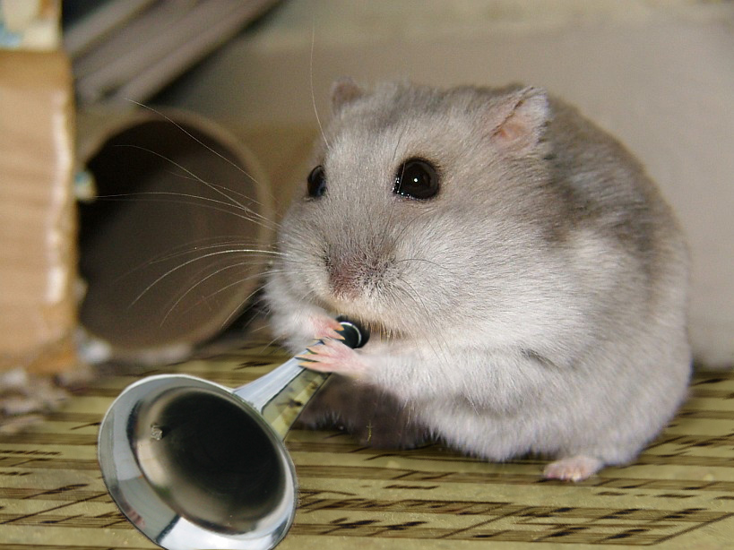 650.DAX Tipp-Spiel, Montag, 29.10.07 128437