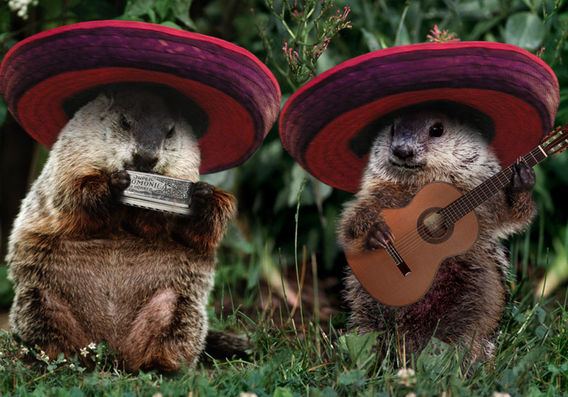 514.DAX Tipp-Spiel, Mittwoch, 18.04.07 93298