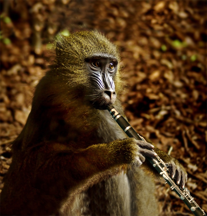 531.DAX Tipp-Spiel, Montag, 14.05.07 98004