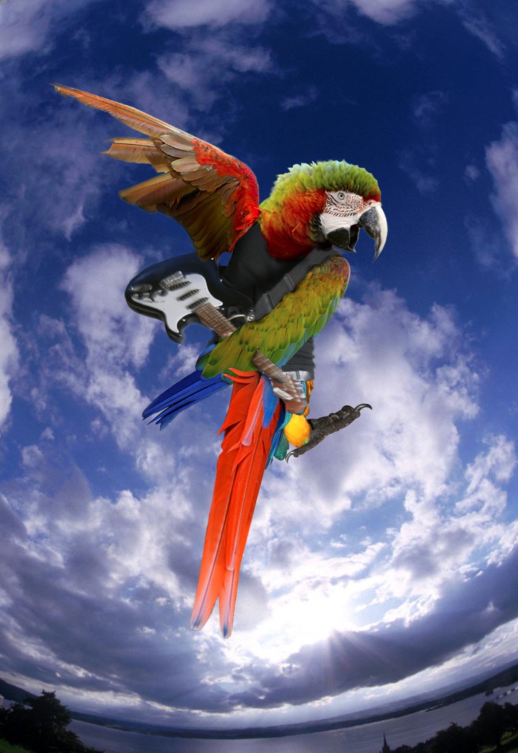 540.DAX Tipp-Spiel, Freitag, 25.05.07 100142