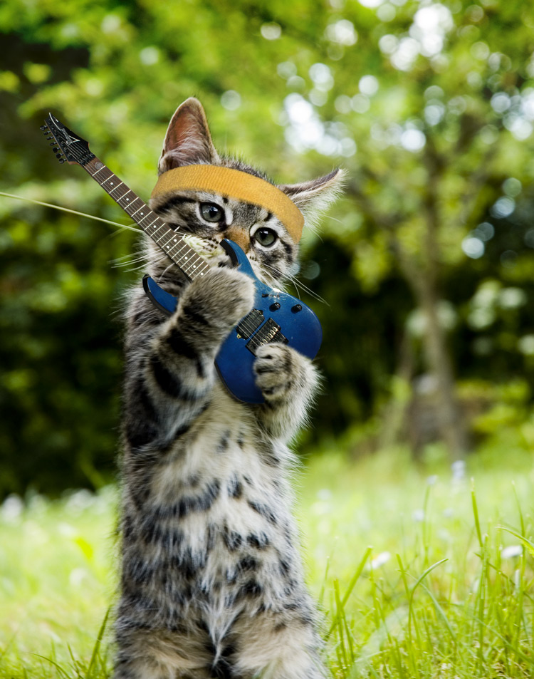 655.DAX Tipp-Spiel, Montag, 05.11.07 129572