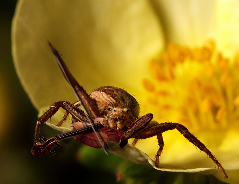 657.DAX Tipp-Spiel, Mittwoch, 07.11.07 130082