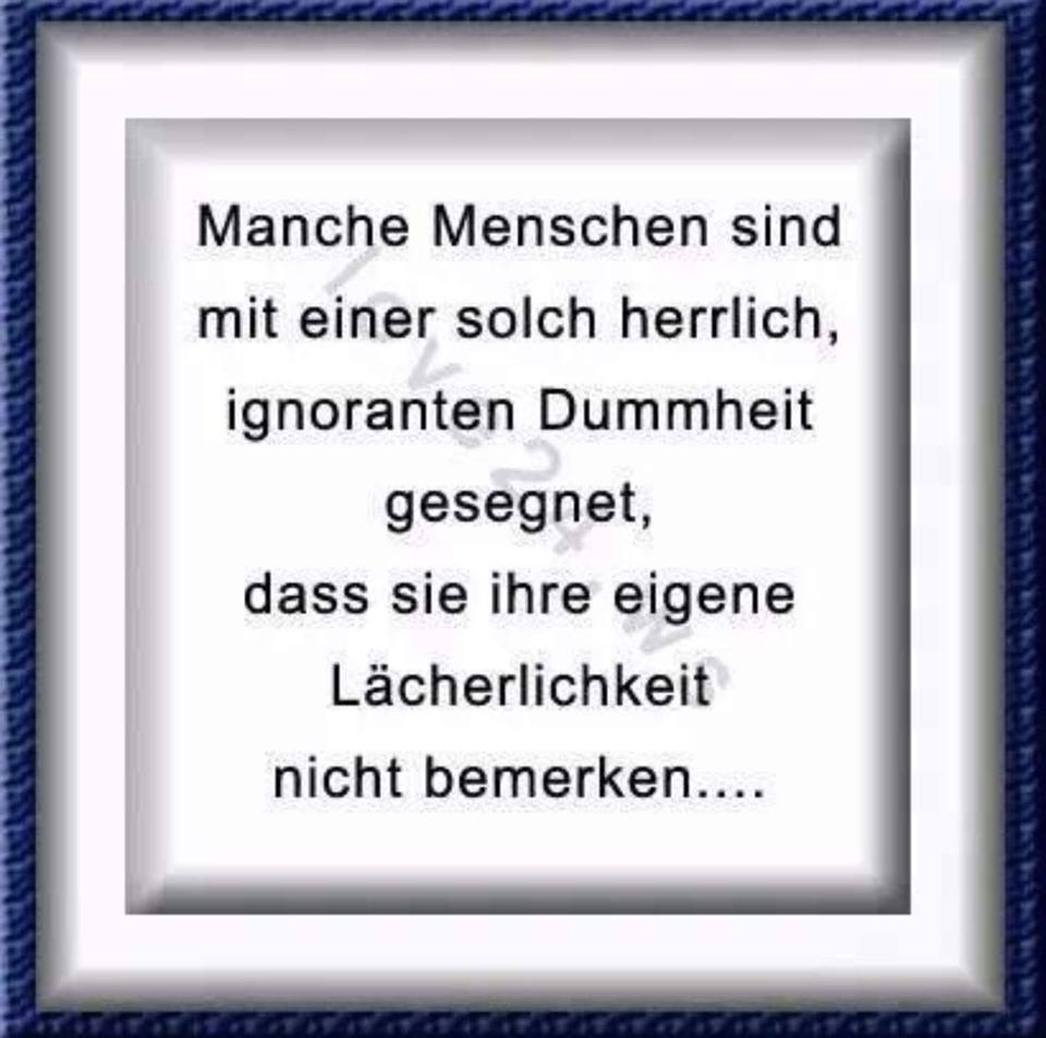 netcents, die neue online zahlungsplattform 1222377