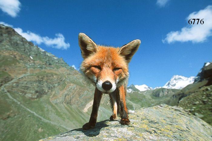 1.422.DAX Tipp-Spiel, Freitag, 12.11.10 357802