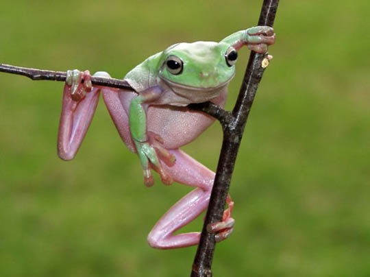 734.DAX Tipp-Spiel, Freitag, 29.02.08 151664