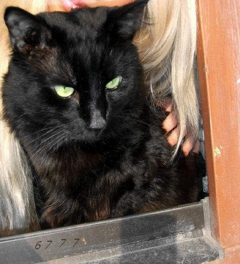 762.DAX Tipp-Spiel, Freitag, 11.04.08 158882