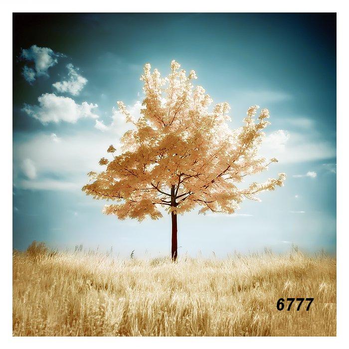 459.DAX Tipp-Spiel, Montag, 29.01.07 79730