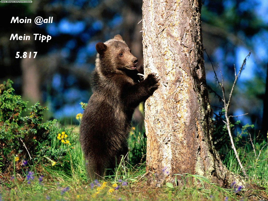 875.DAX Tipp-Spiel *Do* 18.09.08, 17.45 Uhr 187130