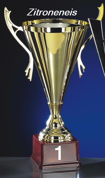 802.DAX Tipp-Spiel, Montag, 09.06.08, 17:45 Uhr 167665