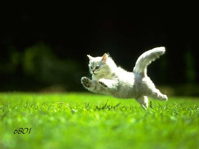 498.DAX Tipp-Spiel, Freitag, 23.03.07 89214