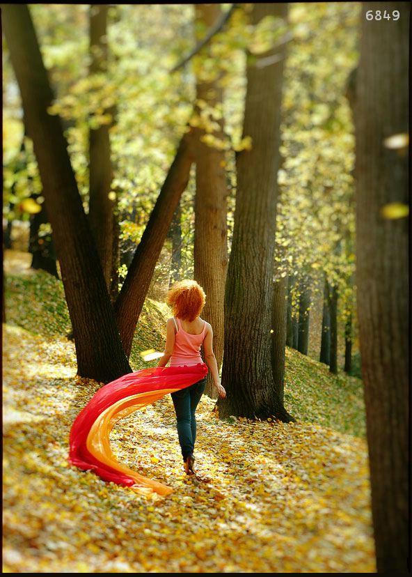 721.DAX Tipp-Spiel, Dienstag, 12.02.08 147712