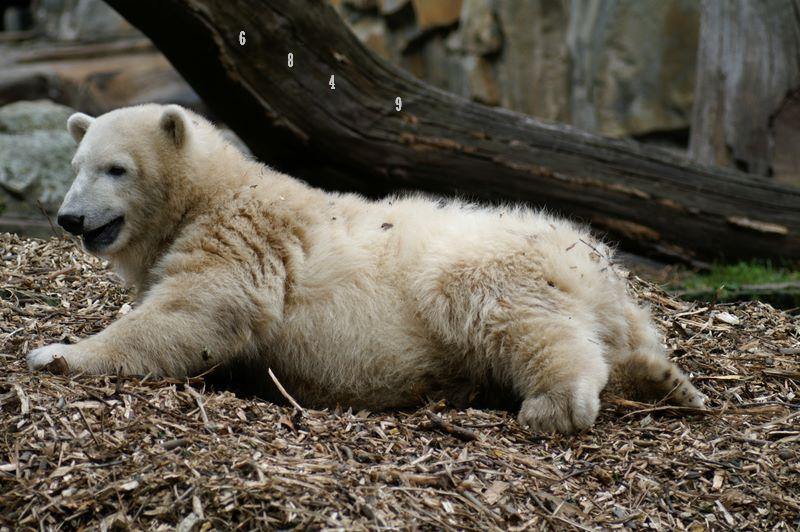 722.DAX Tipp-Spiel, Mittwoch, 13.02.08, 17.45 Uhr, 147911