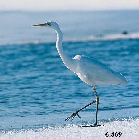 466.DAX Tipp-Spiel, Mittwoch, 07.02.07 81184