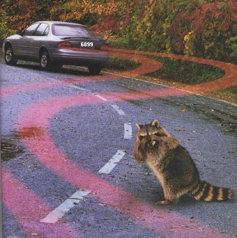 465.DAX Tipp-Spiel, Dienstag, 06.02.07 80961