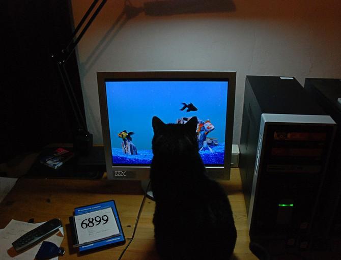 721.DAX Tipp-Spiel, Dienstag, 12.02.08 147679