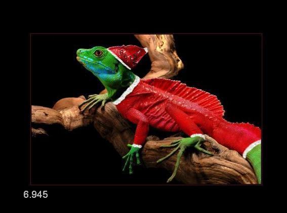 473.DAX Tipp-Spiel, Freitag, 16.02.07 82859