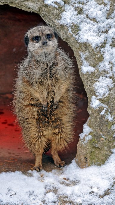 1.453.DAX Tipp-Spiel, Dienstag, 28.12.10 368547