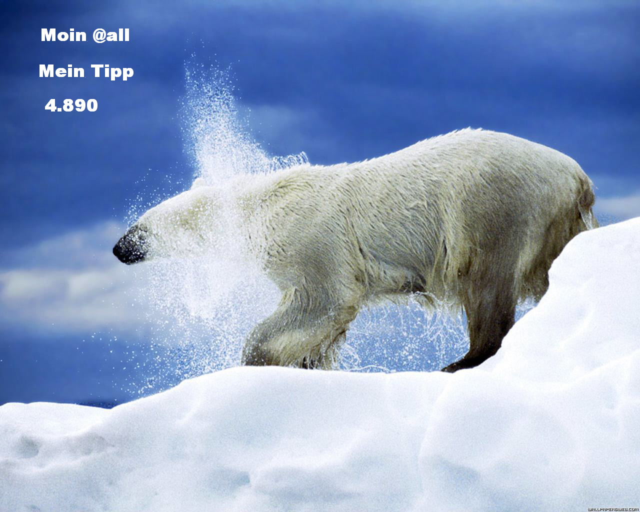 947.DAX Tipp-Spiel, Montag, 5.1.09, 17.45 Uhr 208382