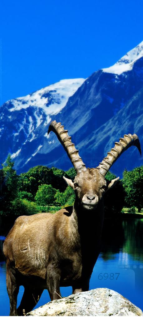 780.DAX Tipp-Spiel, Donnerstag, 08.05.08 162850