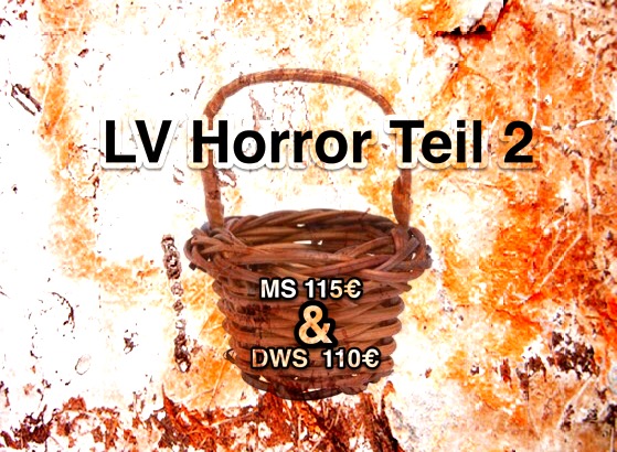 Wirecard 2014 - 2025 1142210