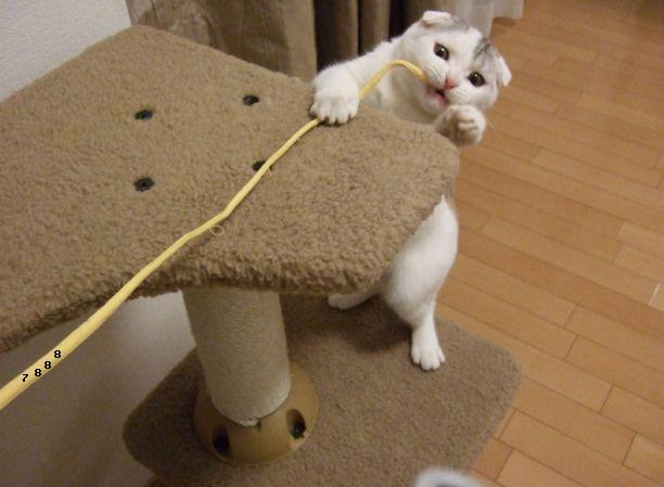 700.DAX Tipp-Spiel, Montag, 14.01.08, 17.45 Uhr, D 141572