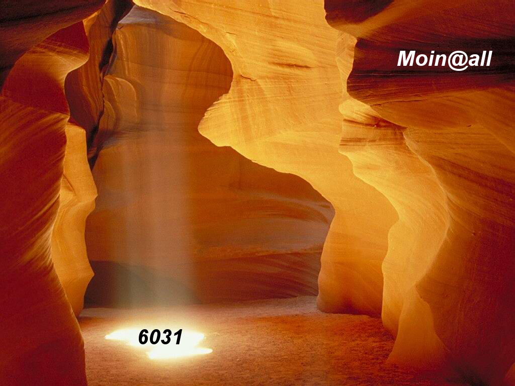 1.254.DAX Tipp-Spiel, Freitag, 19.03.10 307383