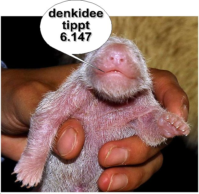 388.DAX Tipp-Spiel, Dienstag, 17.10.06, 17.45 Uhr 62445