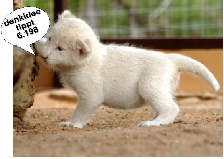 ent396.DAX Tipp-Spiel, Freitag, 27.10.06 64285