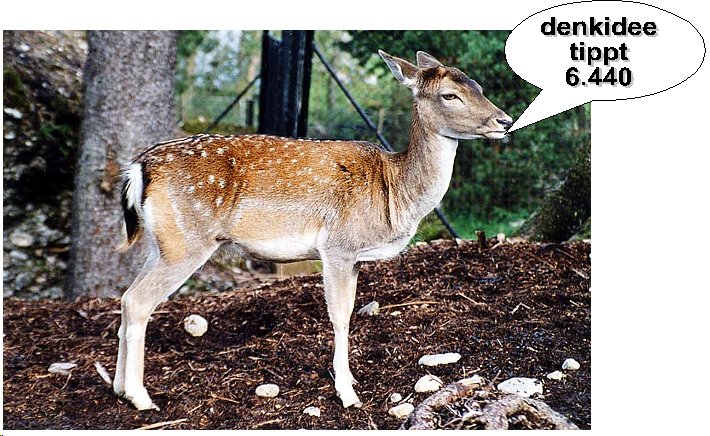 408.DAX Tipp-Spiel, Dienstag, 14.11.06 66869