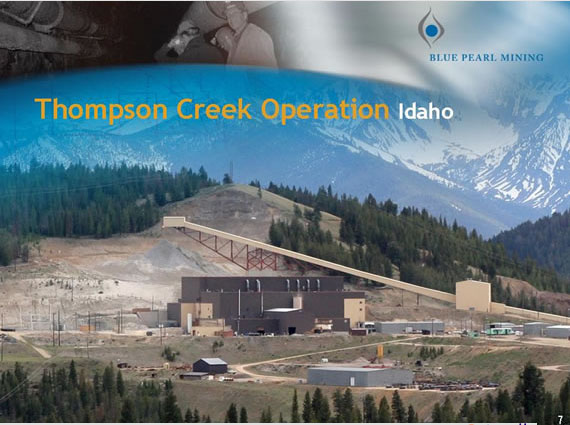 Thompson Creek Metals Faktenübersicht 81471