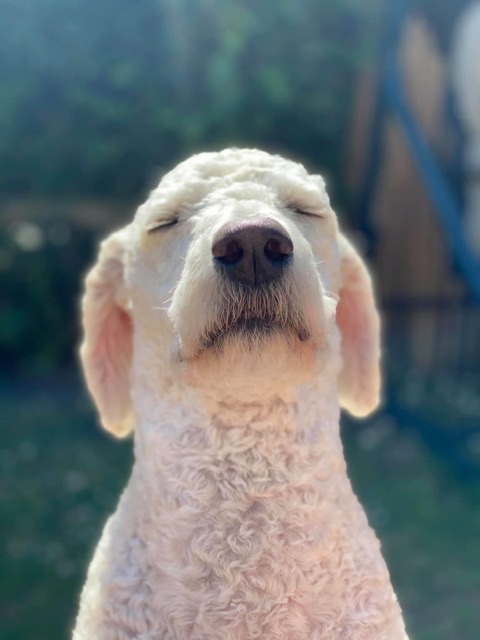 Newsroom & Tippspiele 1195106