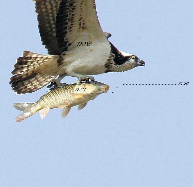 702.DAX Tipp-Spiel, Mittwoch, 16.01.08 142059