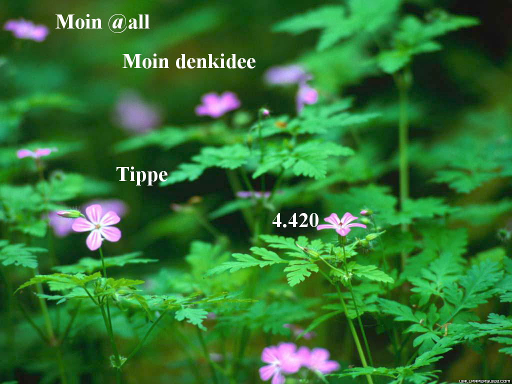 958.DAX Tipp-Spiel, Dienstag,20.01.09, 17.45 Uhr 211461