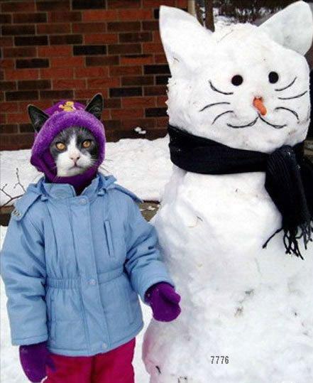 Die Links zu den Sternenkinder (DAX Spiel) 142268